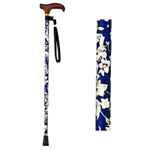 SKXebL AS-80BL(N) (LkEאg) ԕ }LebN