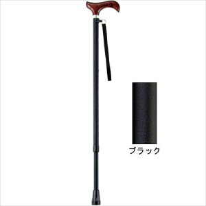 充実ステッキ AS-10BK (伸縮・細身) ブラック マキテック