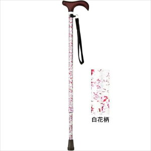 [XebL AS-10WF (LkEאg) ԕ }LebN