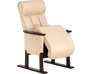 オ⏕`FA@Care-409-SAC O[[v