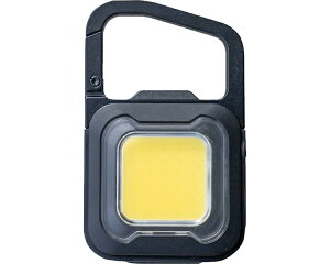 [d@҂@MINI LIGHT }bgubN WRC-23BK TV