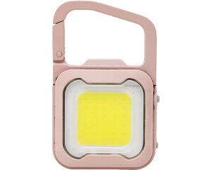 [d@҂@MINI LIGHT WRC-21DP TV