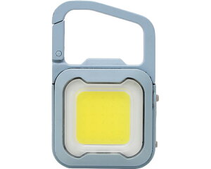 [d@҂@MINI LIGHT WRC-22DB TV