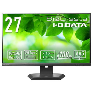 �A�C�I�[�f�[�^ BizCrysta �f�C�W�[�`�F�[���ڑ��Ή�&65W���d Type-C����27�^�t���f�B�X�v���C �u���b�N 5�N�ۏ� LCD-CQ271SA-F LCD-CQ271SA-F �A�C�I�[�f�[�^ #