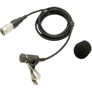 �I�[�f�B�I�e�N�j�J ���x���A�}�C�N���z�� AT829H/P 1�� AT829H/P �I�[�f�B�I�e�N�j�J #