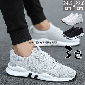 Xj[J[ Y LO X|[c  EH[LO ʋC h lGp ɂȂ @\ KSn K Ȃ U 傫TCY