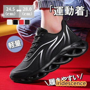 jOV[Y Y Xj[J[ EH[LO X|[c C K oXP ^ WMO V[NbgV[Y  t H ʋC