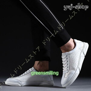 JWAV[Y Y WjA Xj[J[ fbLV[Y n AEghA 傫TCY L [XAbvV[Y ^C ʋ ʊw y ʋC