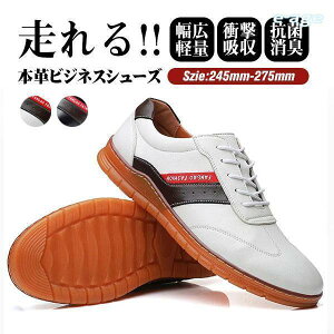 rWlXV[Y Y {v  L  Ȃ uh U[V[Y amC {v ʋC h Xj[J[ AEghA