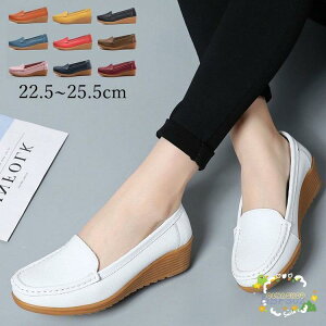 [t@[ fB[X Xb| [q[ _炩\[ ɂȂ ₷ r ~ JV 풅p ʋ