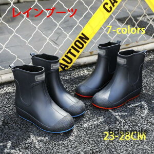 Cu[c CV[Y Xm[u[c fB[X LbY  C Y V[g h ʋ y IV rWlX