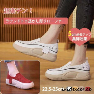 Xb| fB[X EhgD胍[t@[ JWAV[Y 5cm Od ₷ lԍHw y ~ r ʋCK