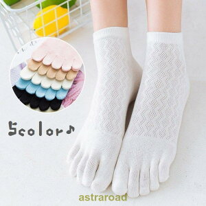 ܖ{w\bNX V[g\bNX C fB[X p Vv  bV JWA  wlp MUMU 5{w t 