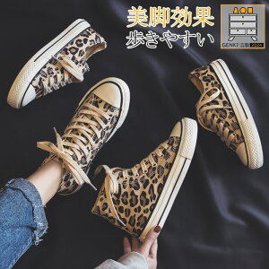 fB[X Xj[J[ y ƂȂ ҂ݏグV[Y LoX qE tbg JWA ₷ r  