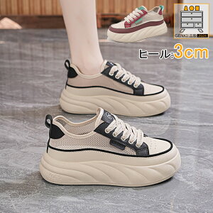 p y W[xbN Xj[J[ ʋC Z[teB[V[Y  pTCYΉ