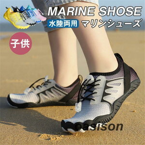 EH[^[V[Y }V[Y LbY WjA ANAV[Y qǂ q V V p jp W[ ъԊwZ