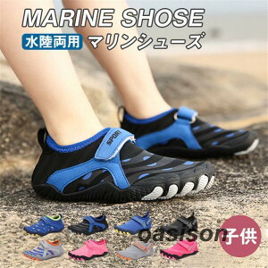 EH[^[V[Y }V[Y LbY WjA ANAV[Y qǂ q V V p jp W[ ъԊwZ