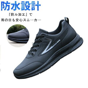 hV[Y Xj[J[ Y h  y Jp jp Ռz ʊw^C  V