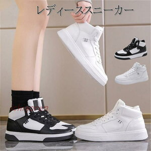 Xj[J[ fB[X C nCJbg h ~ y ʋΒʊw JWA   