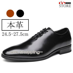 {vC amC rWlXV[Y Y {v U[ H v[gD c ʋ p[eB[  24.5~27.5