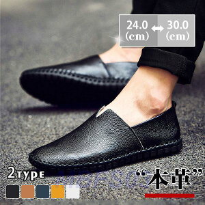 Xb| Y {v 傫TCY bV F [t@[ _炩 ԉ^] ʋC C ʊw ʋ t H ~  K rWlX