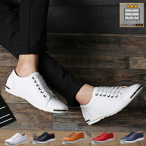 Xj[J[ Y JWAV[Y jOV[Y ʊw ʋ d L  ̓ hV̓ v[g lC t 2023 20304050