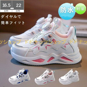 qC Xj[J[ J̓S _C ^ h LbY WjA q ^C  ^ ʊw