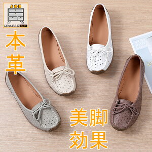 {v  JV [t@[ fB[X }}V[Y wlC _炩 JWA ̓ EH[LOV[Y ʋ  y