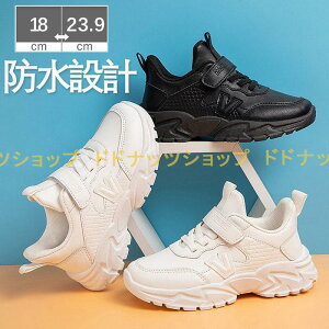 J̓S qC Xj[J[ ^ }WbN xN ̎qp h LbY WjA q ^C  ^ ʊw