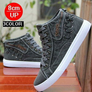 8CM UP �����Y �w�������Ȃ� ����L�����o�X �V�[�N���b�g�V���[�Y �J�W���A�� �X�j�[�J�[