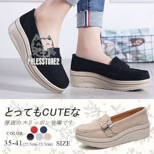 Xb| fB[X [t@[ Vv JV  XG[h ʊw ʋ r ₷ ₷ tbg JWA 5F 傫TCY