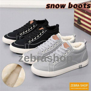 Xj[J[ Y Xm[u[c V[Y N {A [Jbg ₷ ɂȂ JWA C X|[c {AV[Y  hC