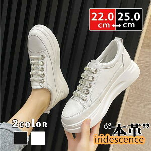 Xj[J[ fB[X {v EH[LO JWAV[Y nCq[ zCg Xb| C  ʊw ʋ  t H ~ AE^[