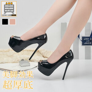 T_ pvX nCq[ Lo  nCq[ Gi I[vgD O Xg[ p[eB[  񎟉 TCY 12cm