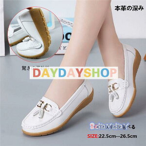 fB[X JV {v rbg^Cv ʋC h\[ q[t@[ y ɂ V 傫TCY