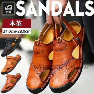 T_ Y r[`T_ {v X|[cT_ RtH[g V[Y ₷  JWA amp  傫TCY