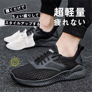 Xj[J[ Y jOV[Y bV ʋC y EH[LOV[Y JWA ~ ^C X|[c ʊw ʋ tďH