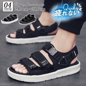 T_ Y X|[cT_ JWA ʋC  y Ȃ  C Xb| ʊw ʊw  w