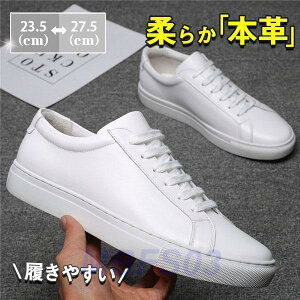 IbNXtH[hV[Y Y JWA v EH[LO C {v Xj[J[ AEghA ʊw ʋ zCg  am  t H