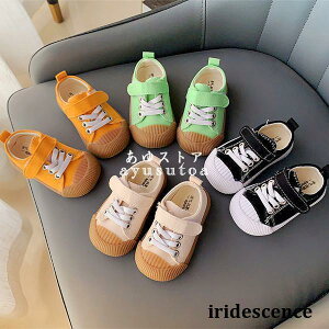 Xj[J[ LbY tďH~ qC ̎q j̎q YbNC y z LbYC V[Y LpXC     ^ ₷ ʊw Vi