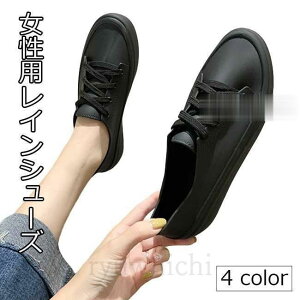 CV[Y fB[X Cu[c JC Xj[J[ tbgV[Y J  hV[Y hC J̓ ~J C 