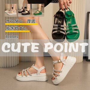 Xj[J[T_ fB[X  CXg[ ₷ Xgbv EFbW\[ LL C  ɂȂ  r ꂢ