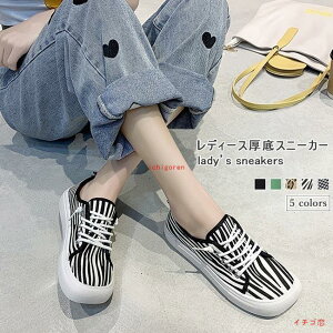 Xj[J[ fB[X tbgV[Y ^ Xj[J[ XNGAgD [u LpXV[Y 璹 [Jbg Xj[J[  y`