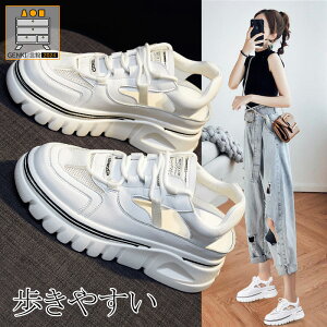 T_  fB[X bV E₷ Xj[J[ r X|[cT_ Vv  JWA  