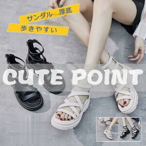 Xj[J[T_ fB[X  ₷ Xgbv EFbW\[ JWAV[Y ؂񂱌C  ɂȂ  r ꂢ