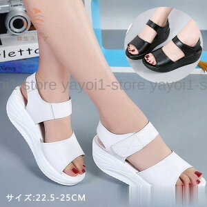 T_fB[XT_₷T_yʑD^i[XV[Yi[XT_Ȃ_CGbgr