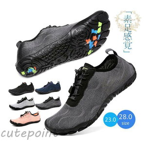 }V[Y EH[^[V[Y p  Vm[PO ANAV[Y xAtbg tBbglXV[Y r[`T_ y jp