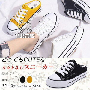 Xb| fB[X y ƂȂ ҂ݏグV[Y [XAbv LoX  tbg JWA n ₷ r   S3F