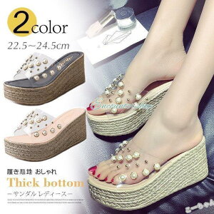 T_ fB[X  y gOT_ ₷ q[ C ̎q ubN x[W NA Sn  킢 y ~  