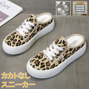 Xb| fB[X Xj[J[ y ƂȂ ҂ݏグV[Y [XAbv LoX qE tbg JWA ₷ r  
